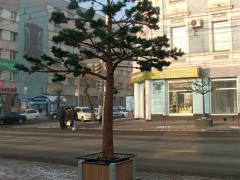 ГК «Стимэкс» предлагает световые деревья для оформления городского ландшафта
