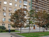 Поликлиника в г. Москва на Кутузовском проспекте